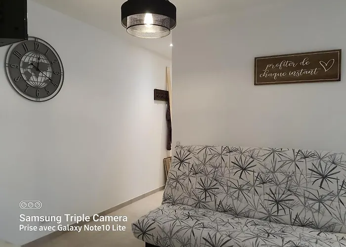 Appartement Les Violettes 3 Pièces Centre