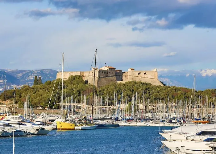 Appartement Les Violettes 3 Pièces Centre Antibes